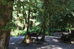 resIMG_20170711_162428_8471.JPG